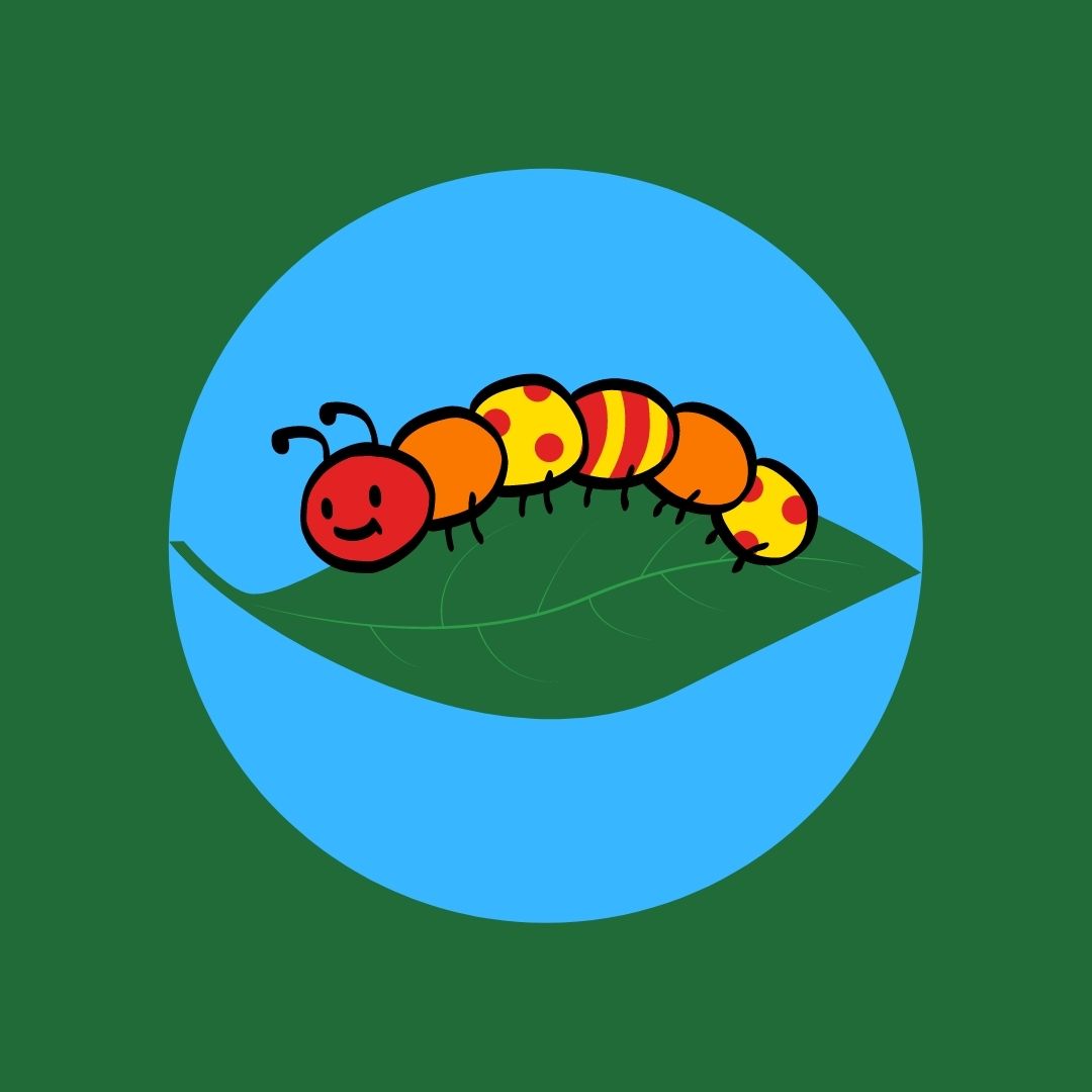 colorful caterpillar on a green leaf