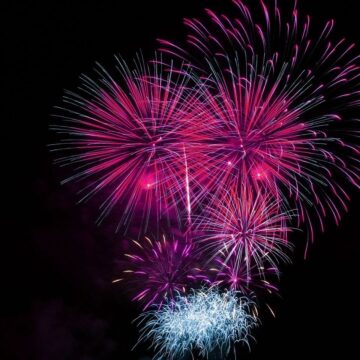 pink fireworks against black sky