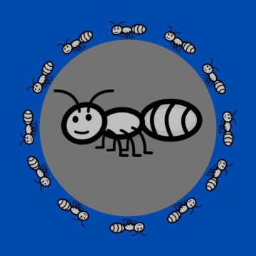 ants on a gray and blue background