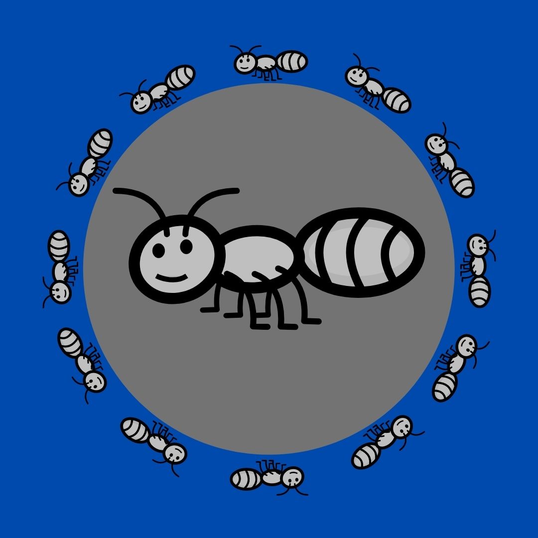 ants on a gray and blue background