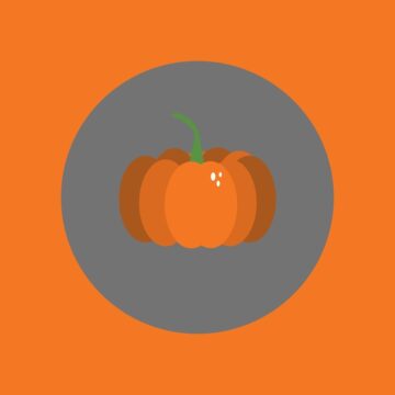 pumpkin on gray and orange background
