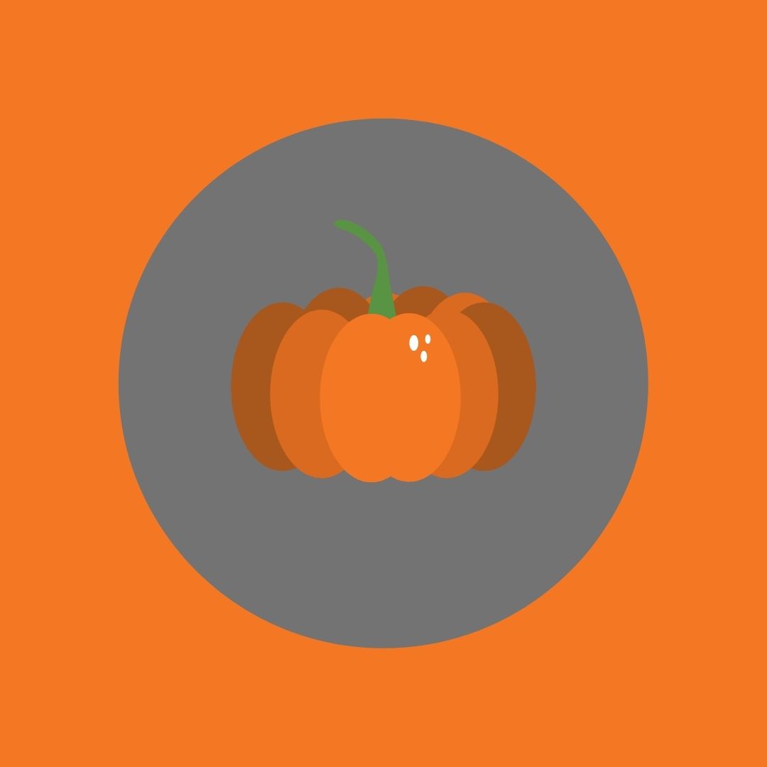 pumpkin on gray and orange background