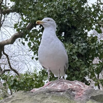 423766269_1226332465008560_6981101240490293175_n