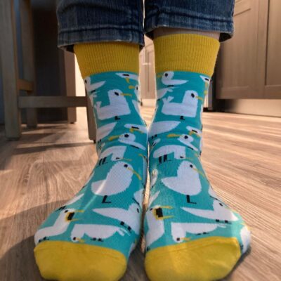 Sea gull socks