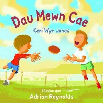 Dau mewn cae book cover.