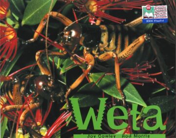 Wētā: A Knight in Shining Armour book cover.